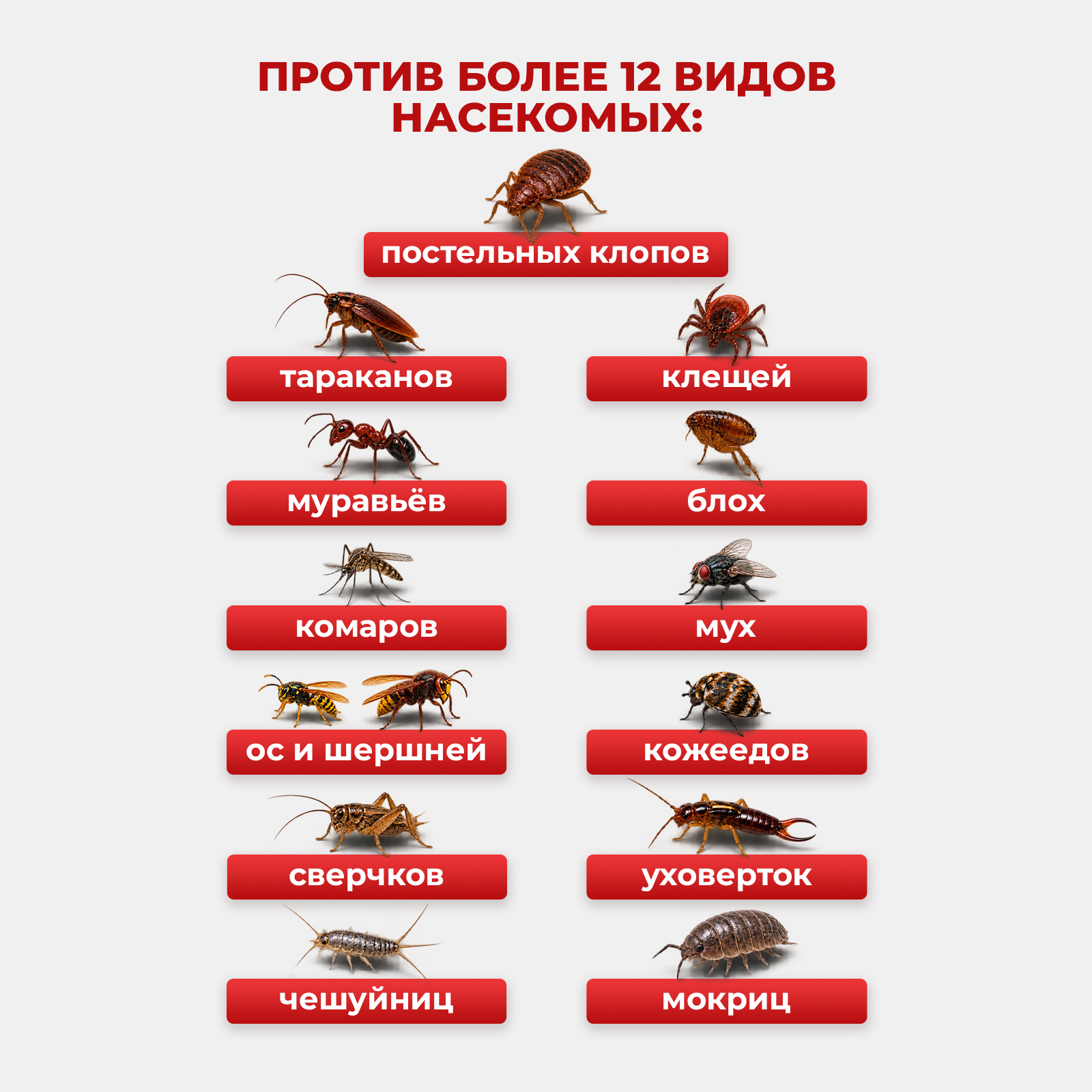 Агран эффективное средство KOYO от клопов блох и тараканов 50 мл - фото 2