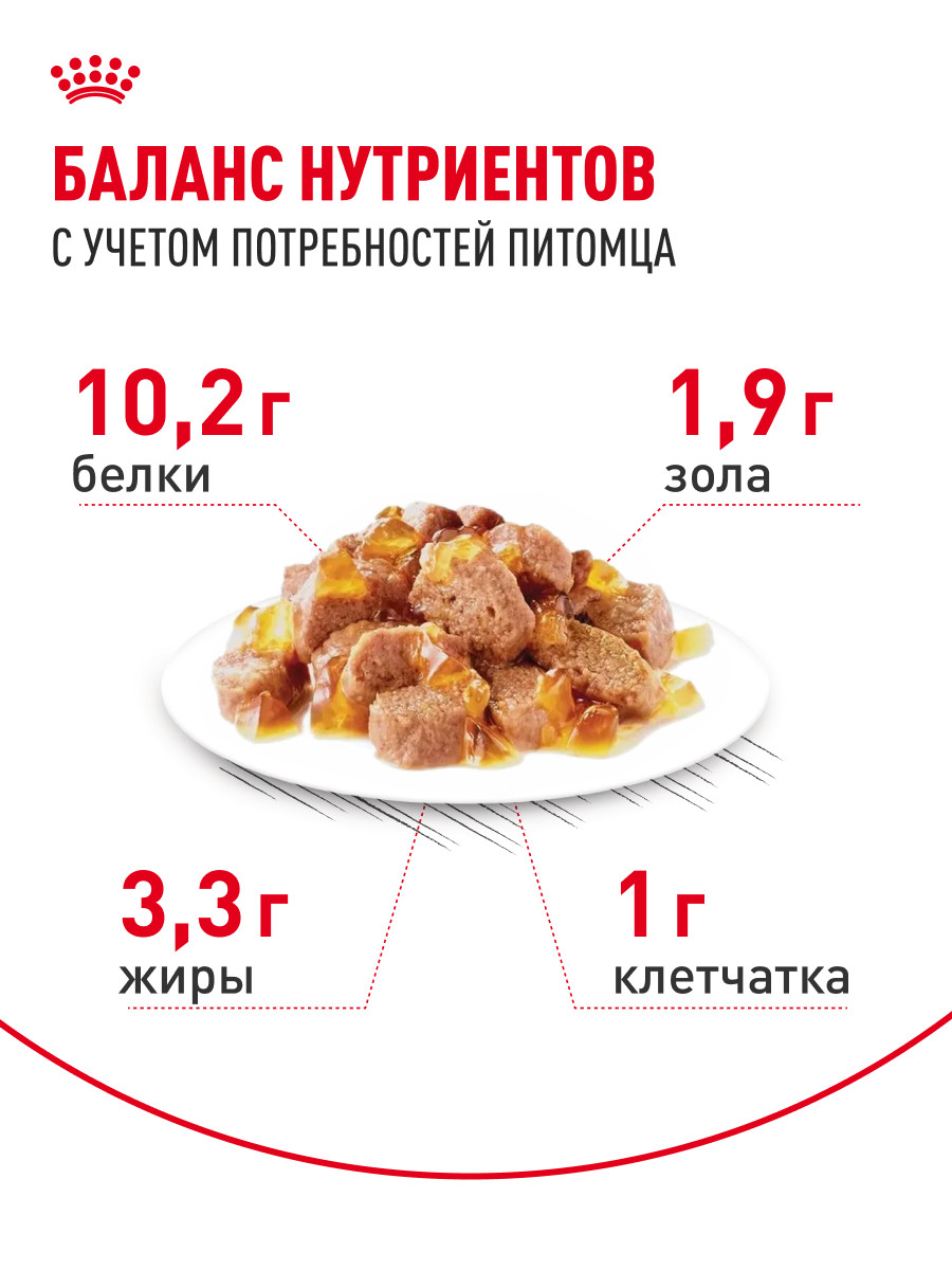 Корм для кошек ROYAL CANIN Indoor 85г для пожилых стерилизованных кошек 7+ желе пауч - фото 4
