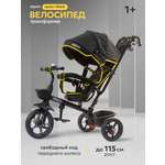 Трехколесный велосипед Velobibi 10 дюймов