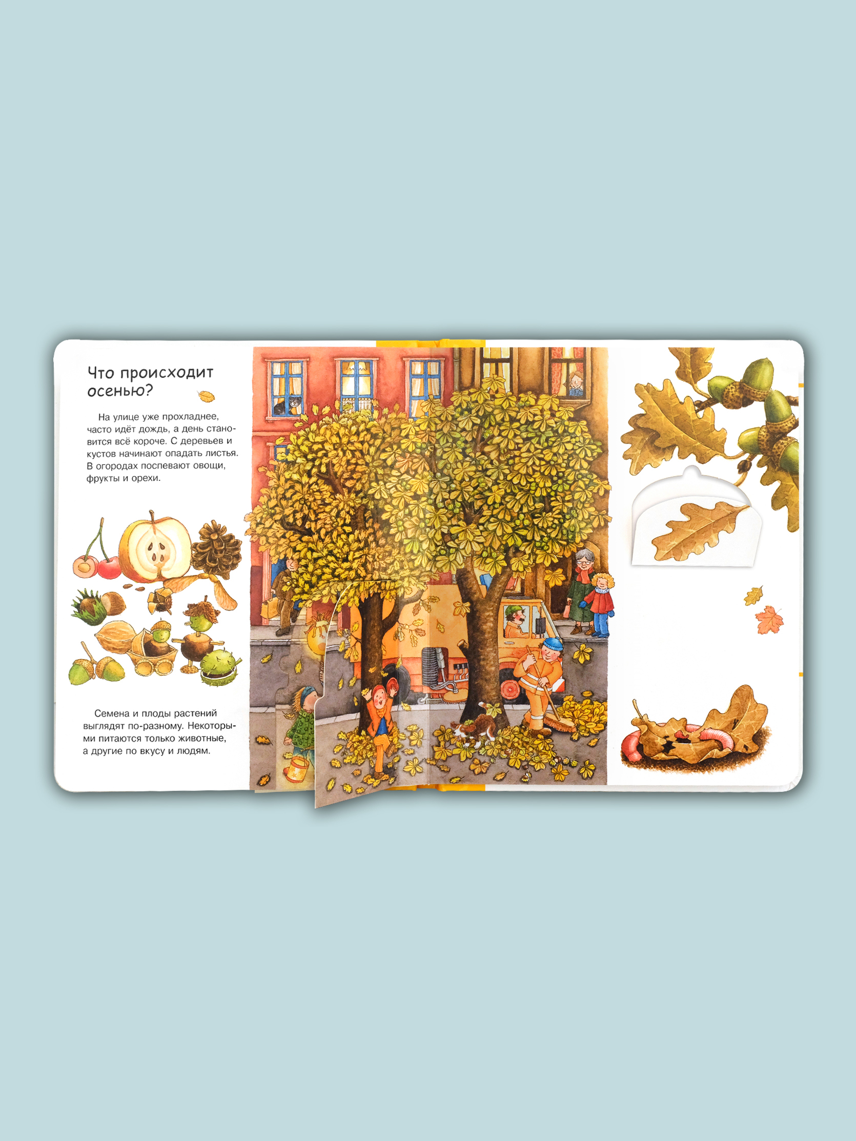 Книга Омега-Пресс Энциклопедия для малышей с окошками Времена года - фото 5