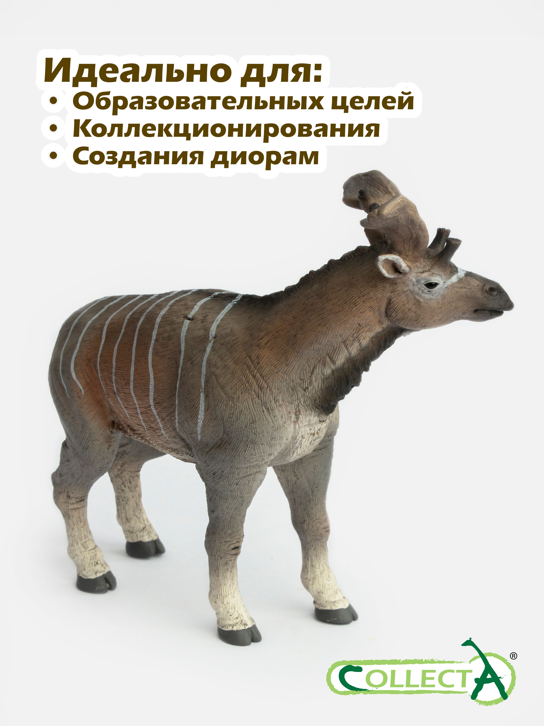 Фигурка Collecta Сиватерий гигантский 15.8 см - фото 6