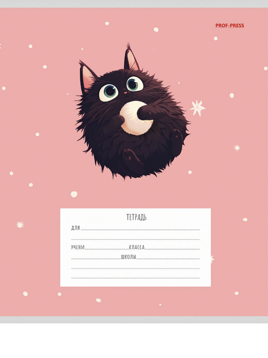 Тетрадь Prof-Press клетка 12 лист. 20 шт. - фото 9