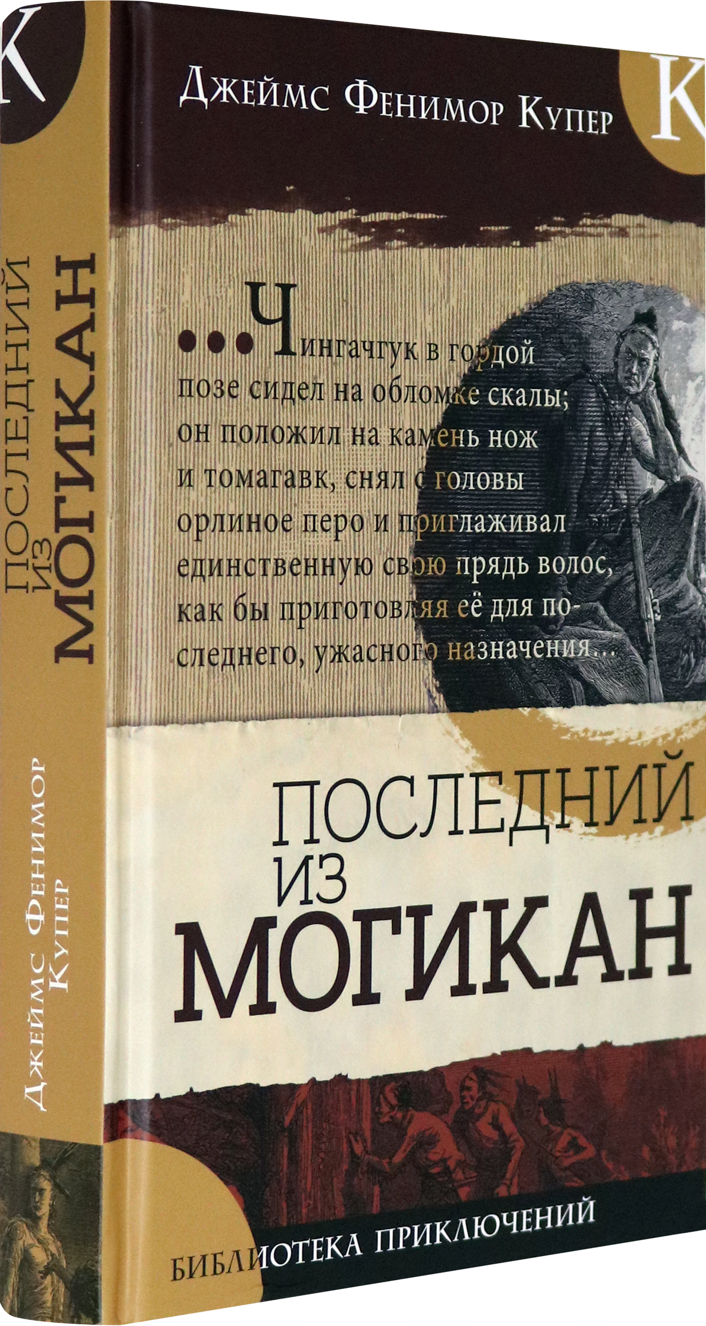 Книга Лабиринт Последний из могикан - фото 2