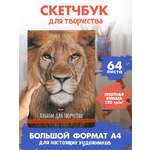 Альбом Проф-Пресс скетчбук. бумага 120 гр/м2. А4 64 лист. 1 шт.