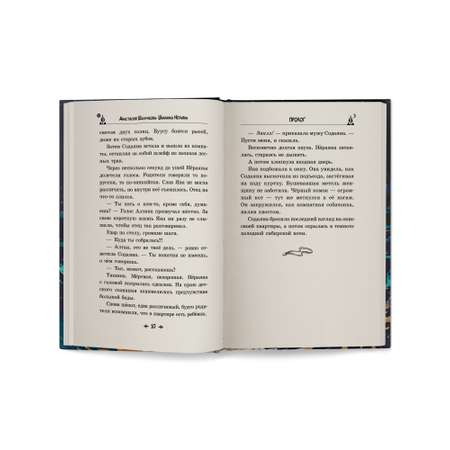 Книга ОКно Шаманка Нёраяна