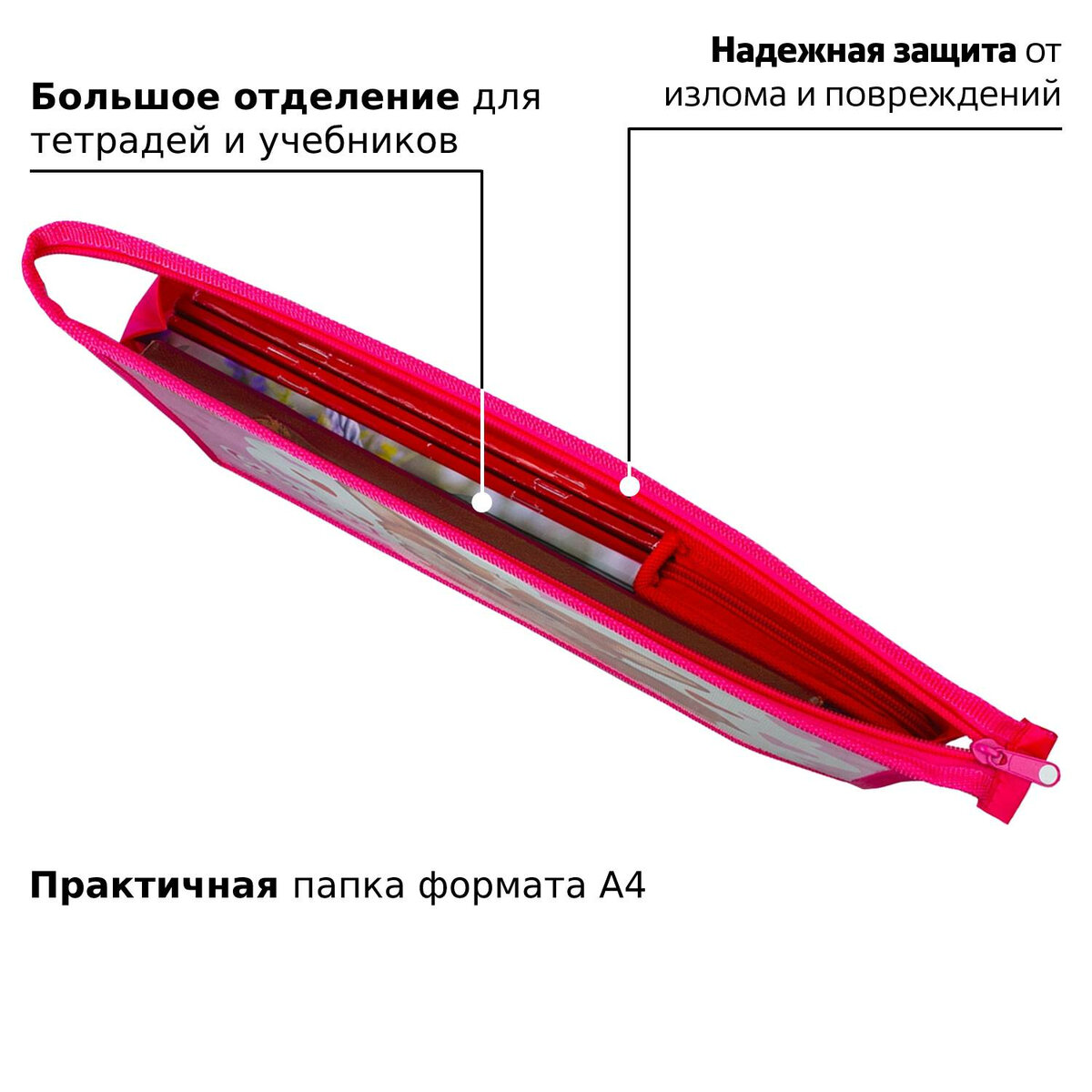 Папка для тетрадей Пифагор А4 - фото 2