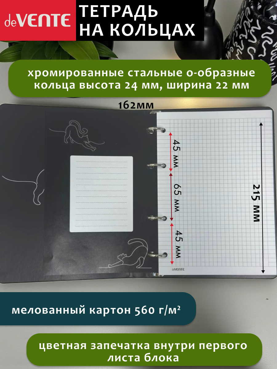Тетрадь со сменным блоком deVENTE клетка 120 лист. - фото 2
