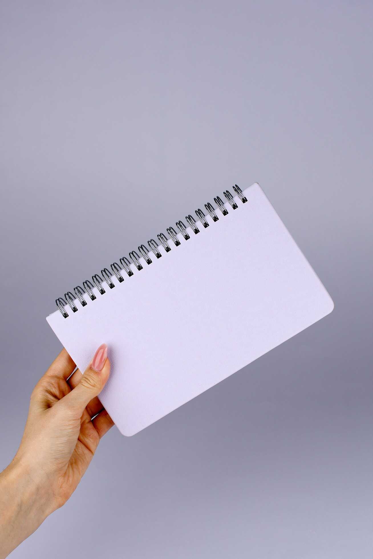 Ежедневник Феникс + ESCALADA 68 лист. - фото 3