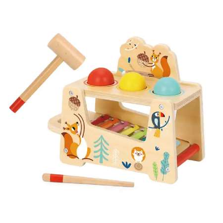 Игрушка Tooky Toy сортер