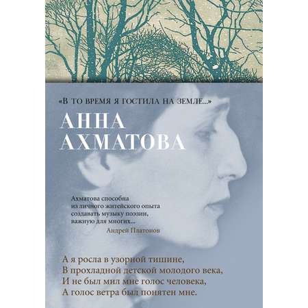 Книга АЗБУКА \"В то время я гостила на земле...\"