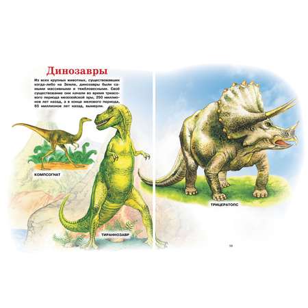 Книга Харвест Животные. Энциклопедия для малышей