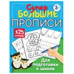 Книга АСТ Большие прописи для подготовки к школе