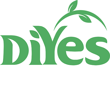 DiYes
