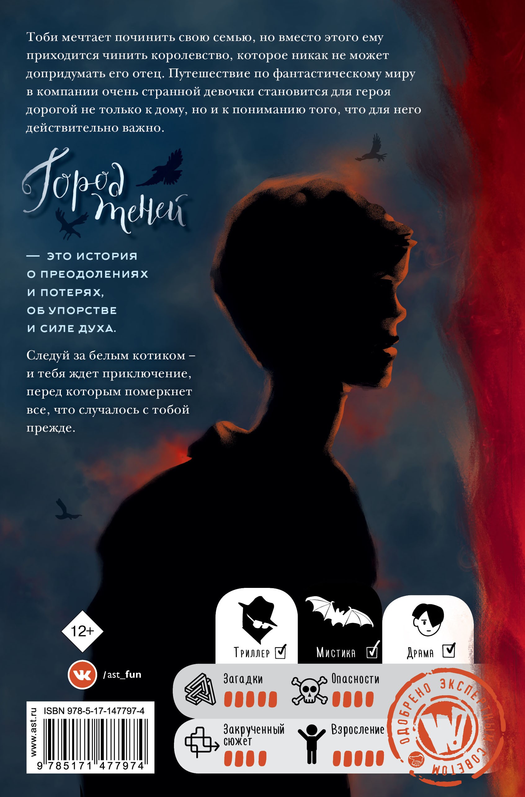 Книга Лабиринт Город теней - фото 2