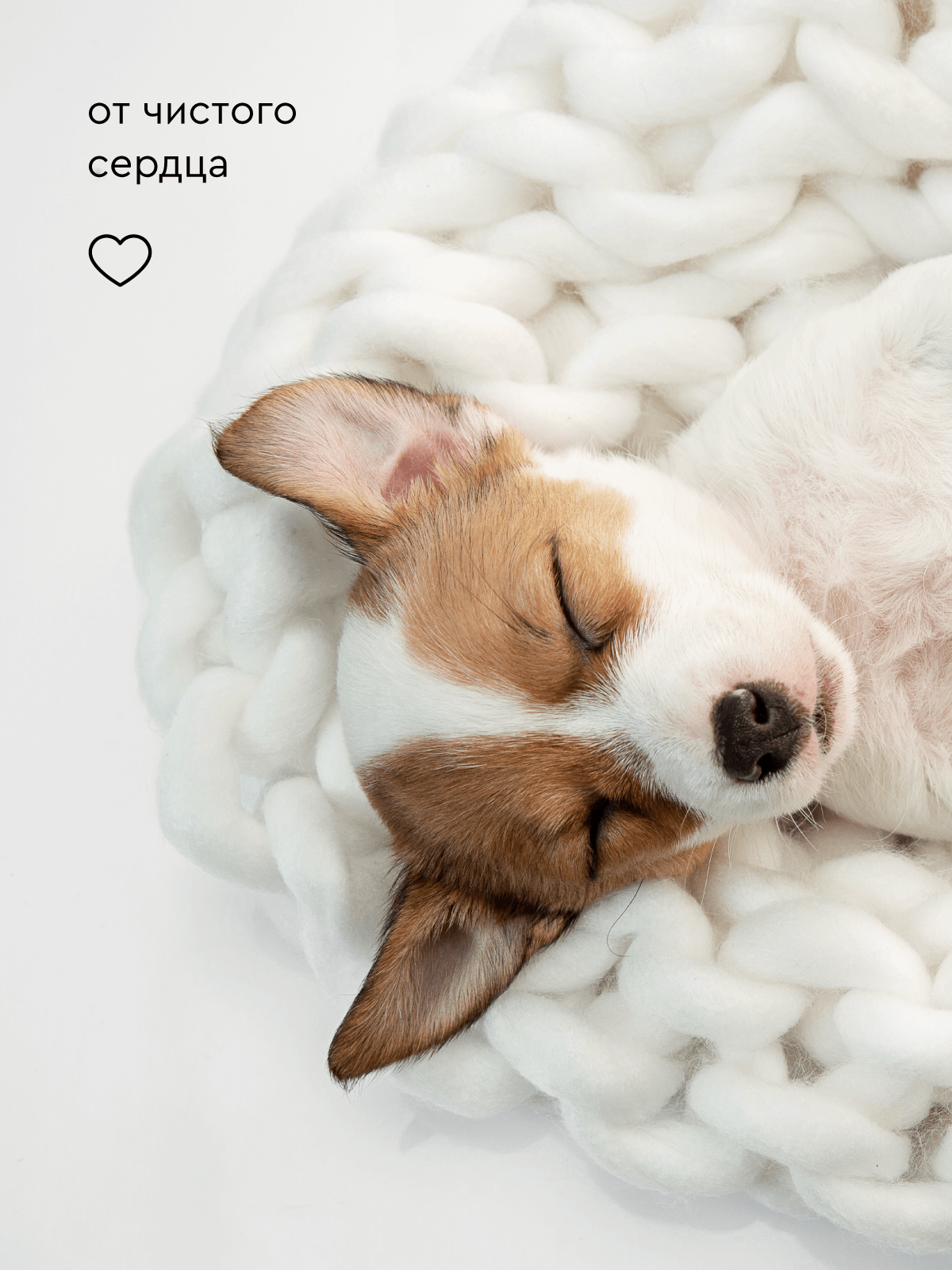 Мыло для лап Pamilee с хлоргексидином - фото 13