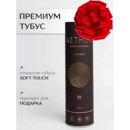 Диффузор с сухоцветами в Премиум тубусе Accents Orange Pepper