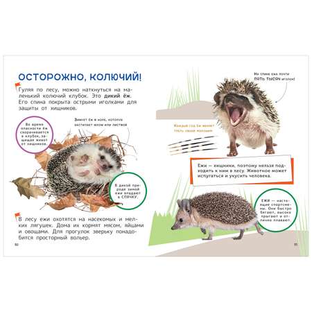 Книга Домашние любимцы Энциклопедия для первого чтения с крупными буквами