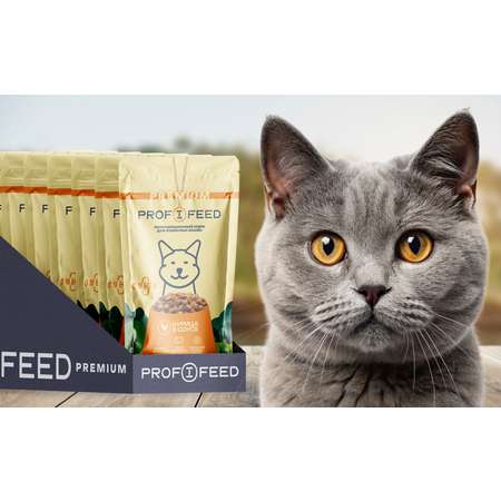 Корм консервированный для кошек (пауч) Profifeed с курицей в соусе 75гр. 28 шт.
