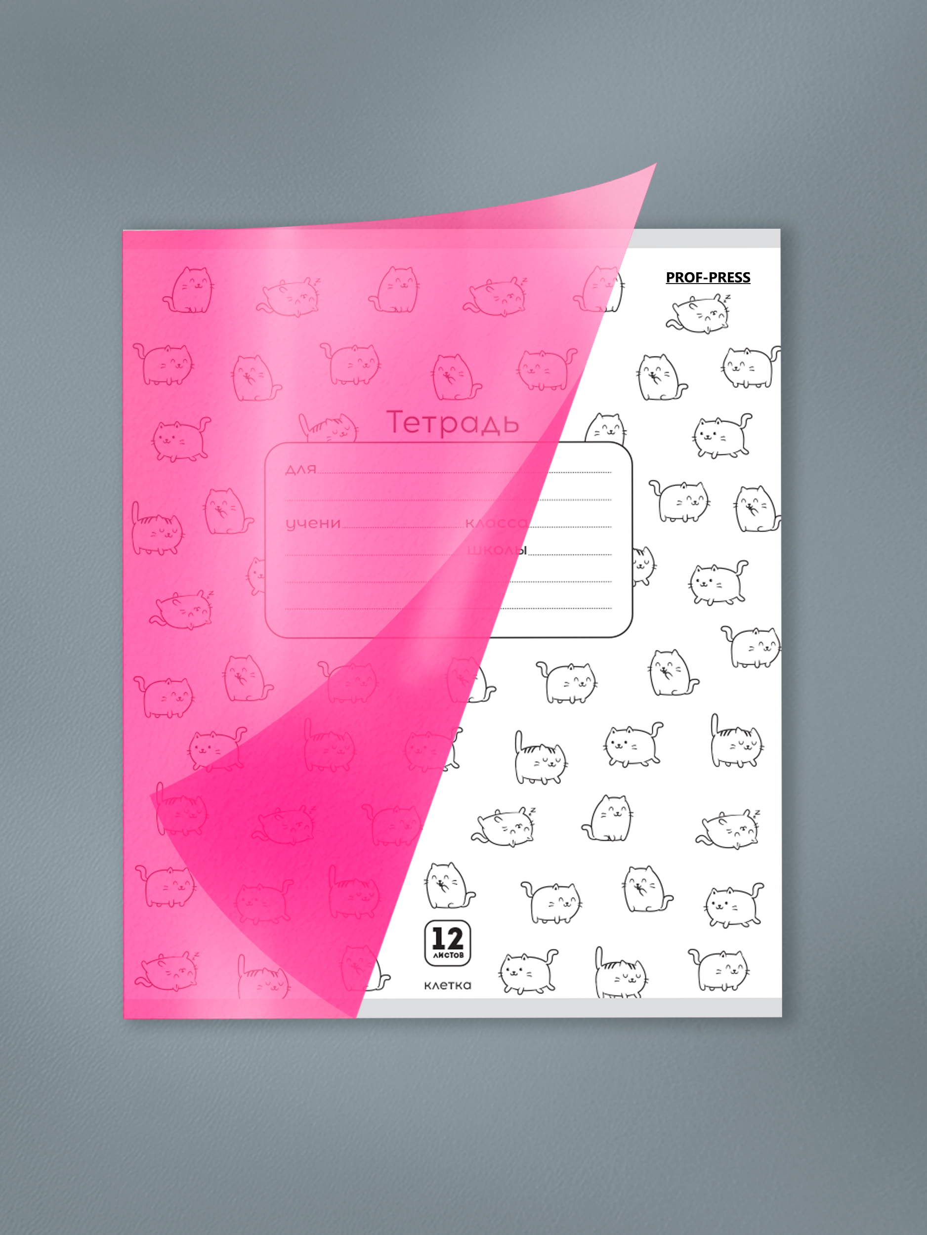 Тетрадь Prof-Press клетка 12 лист. 10 шт. - фото 6