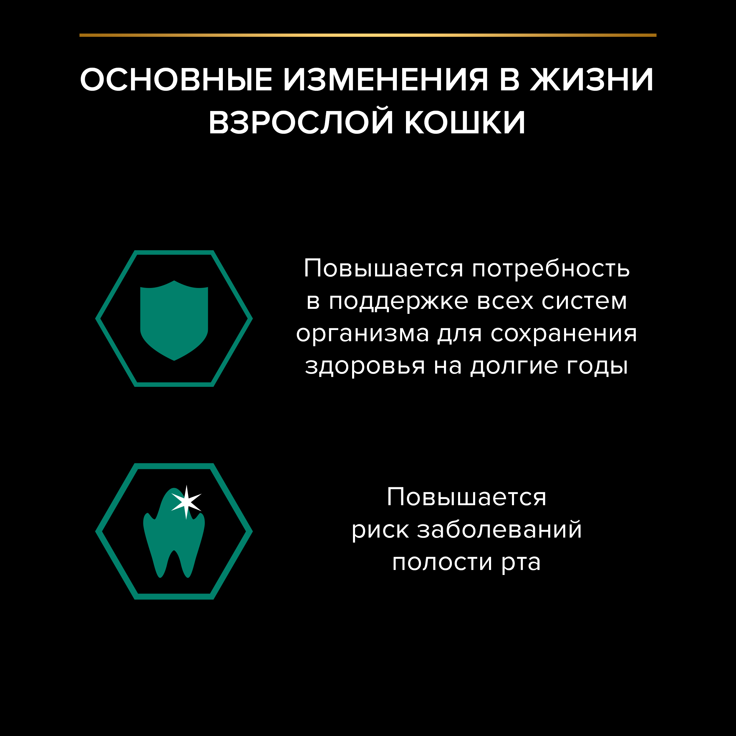 Корм влажный для кошек PRO PLAN 85г с ягненком в желе пауч - фото 4