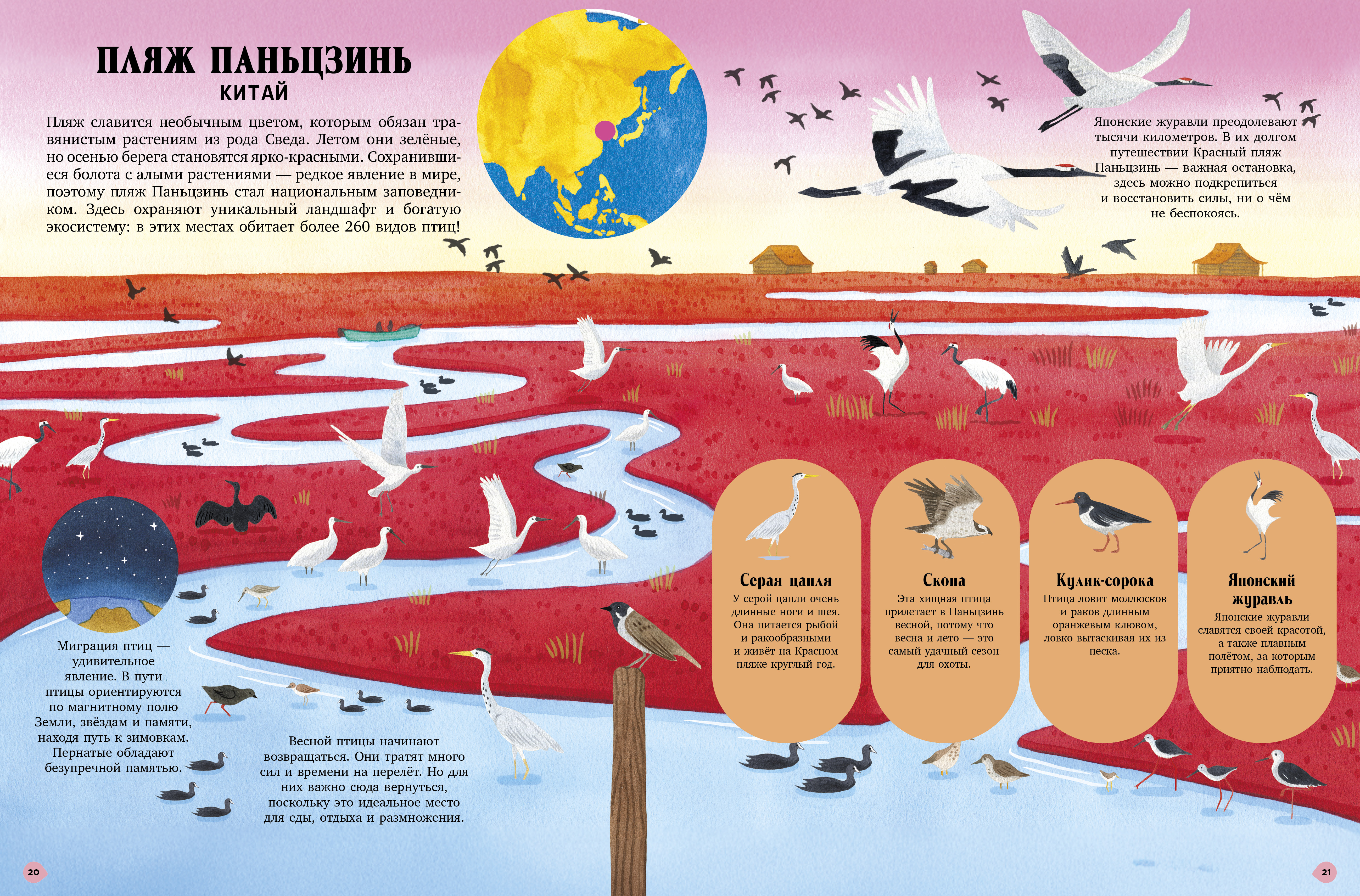 Книга Clever Большая энциклопедия - фото 6
