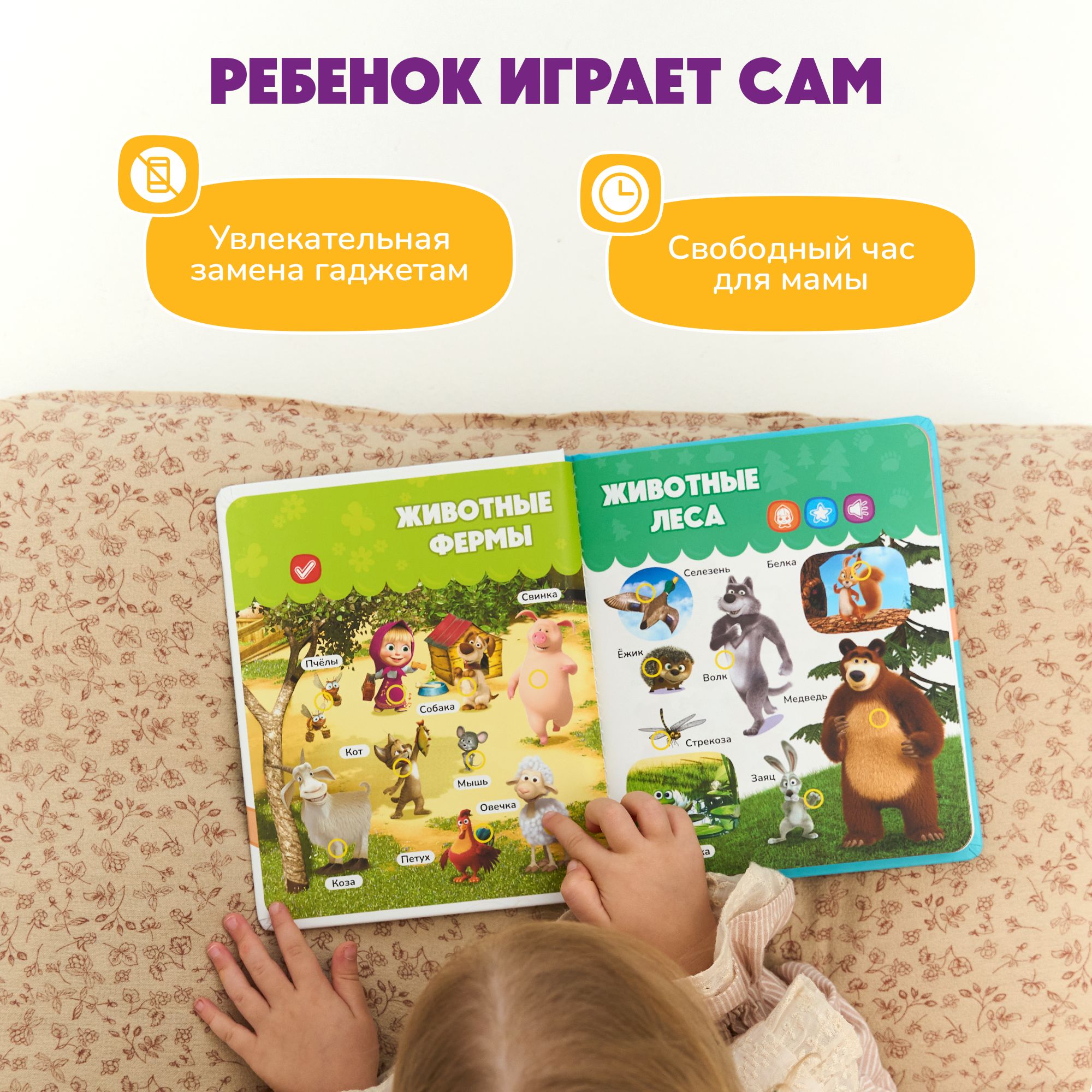 Нажималка BertToys Маша и медведь Давай учиться - фото 10
