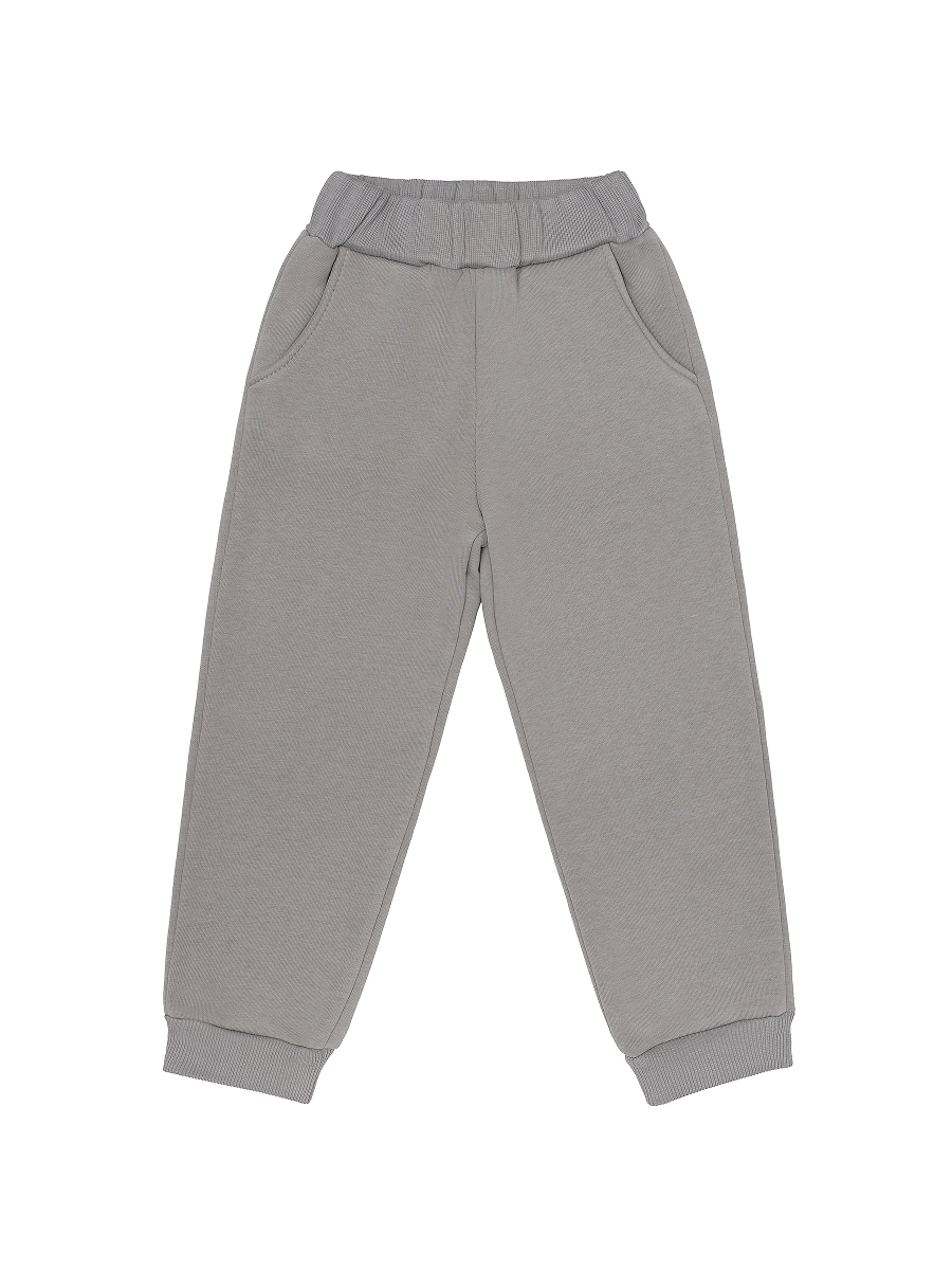 Брюки Эскимо у-12-801серый - фото 1