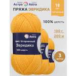 Пряжа Astra Premium Эвридика шерстяная 100 г 200 м 18 горчичный 3 мотка