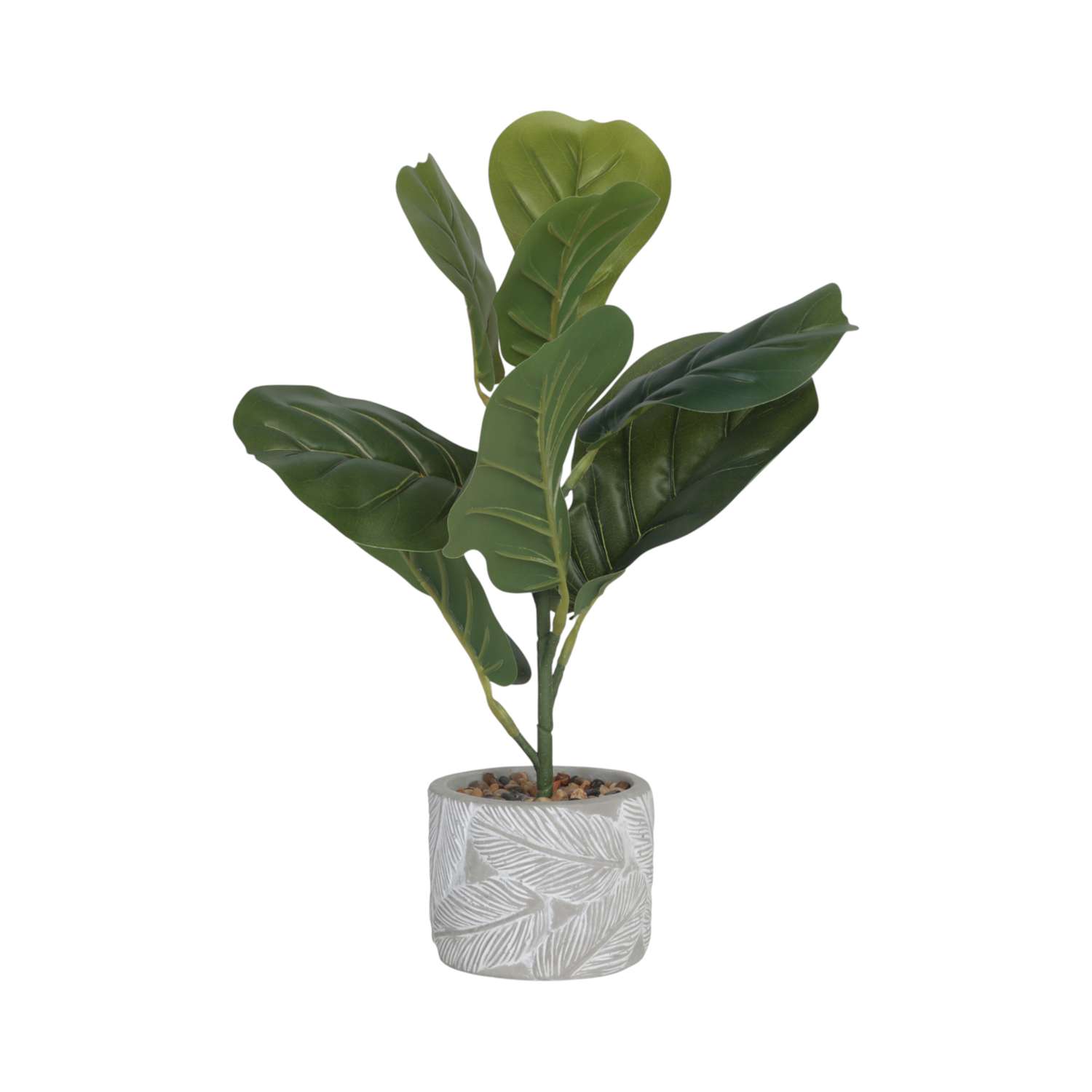 Фикус ё в каменном горшке - фото 1