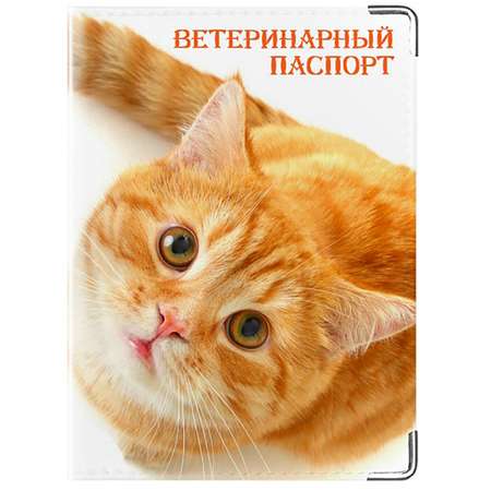 Обложка для ветпаспорта Modaprint из натуральной кожи