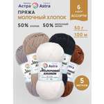 Пряжа для вязания Astra Premium 50г 100м 5шт