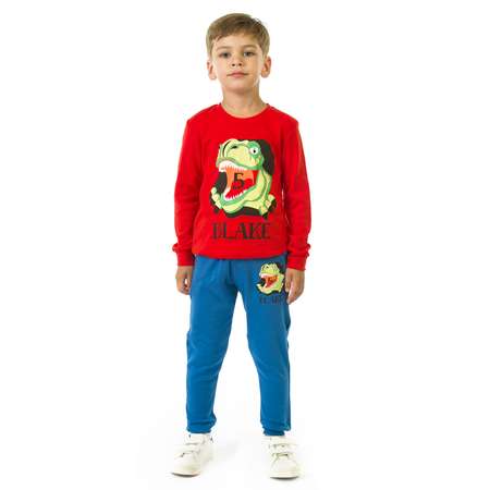 Свитшот и брюки Baby Stylе
