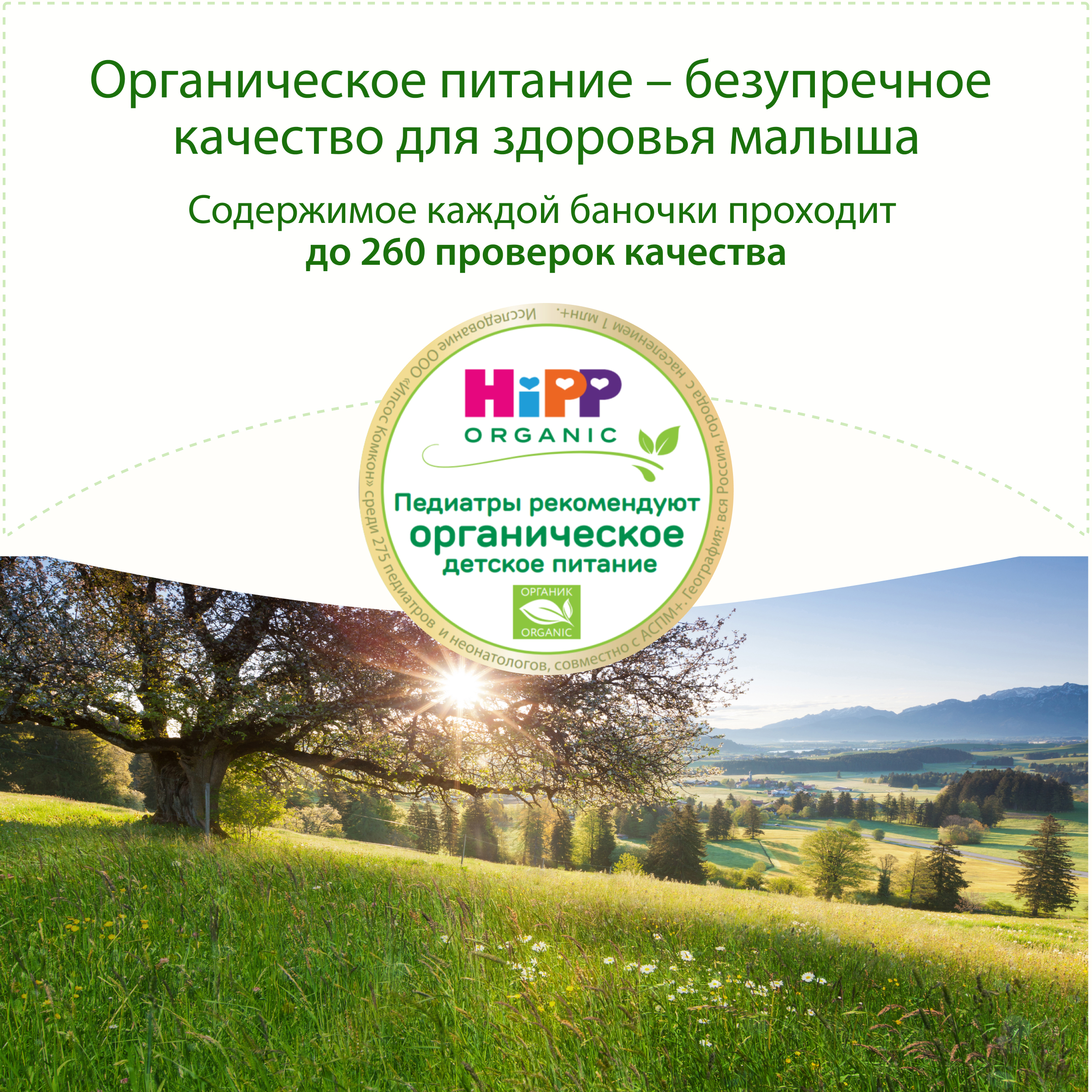 Пюре Hipp Овощная смесь с лапшой и цыпленком с 12 мес 190 г - фото 3