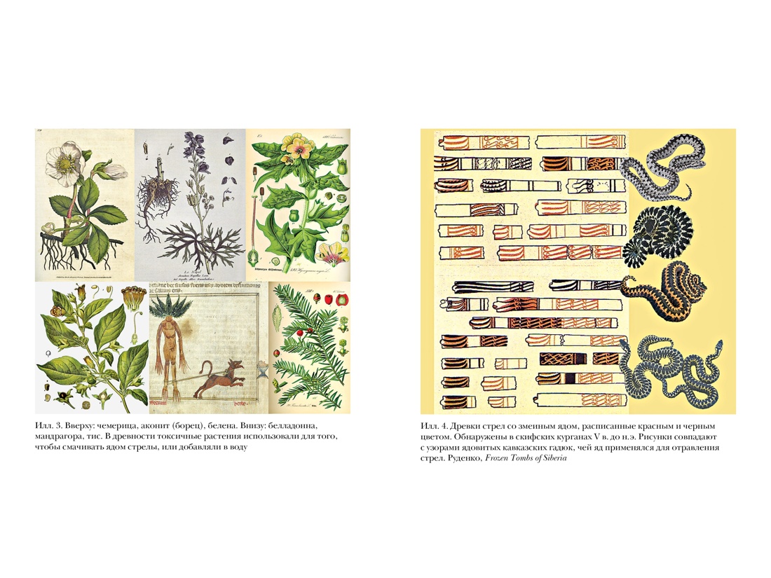 Книга КОЛИБРИ Занимательная Античность. Комплект из 2-х книг и набора открыток - фото 5