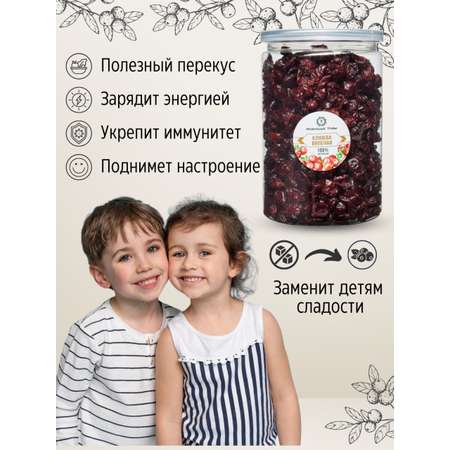 Клюква ПРАВИЛЬНЫЕ ТРАВЫ вяленая