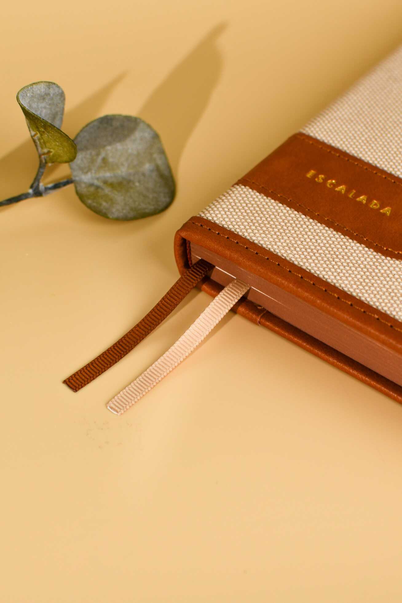 Ежедневник Феникс + ESCALADA 160 лист. - фото 12