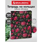 Тетрадь со сменным блоком Brauberg клетка 120 лист.