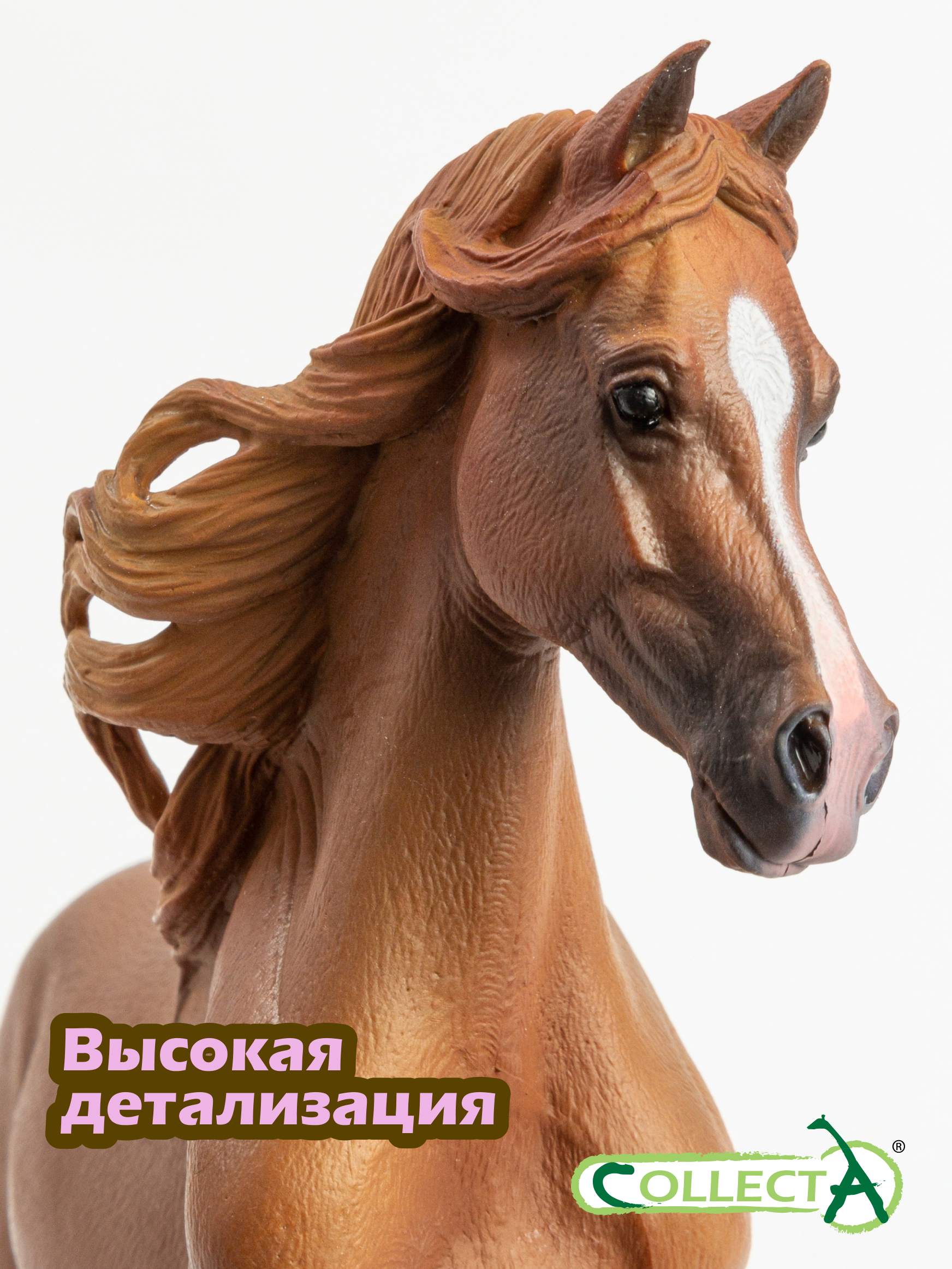 Фигурка Collecta Лошадь Кобыла Арабская каштан - фото 4