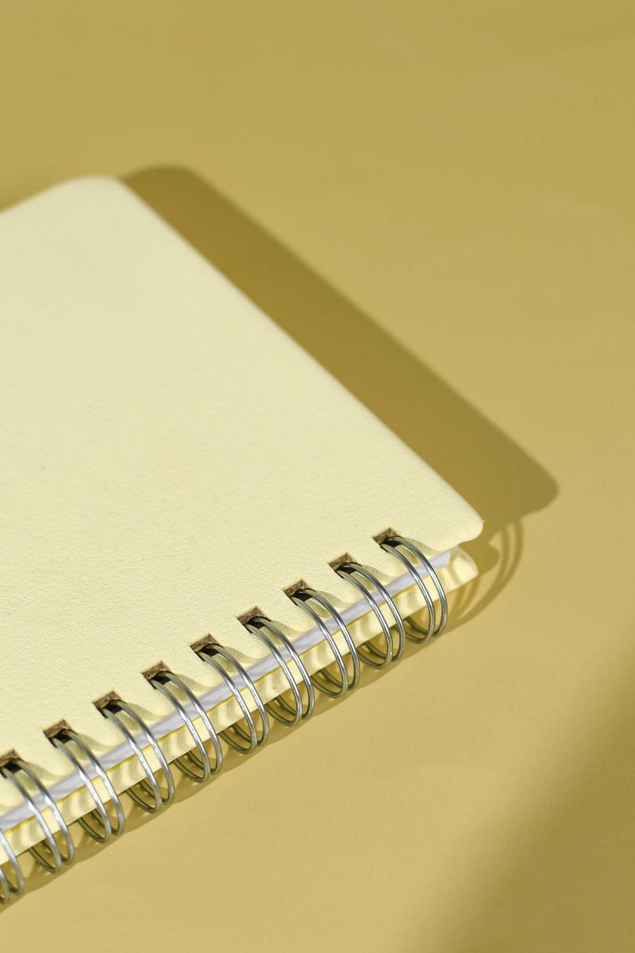 Ежедневник Феникс + ESCALADA 68 лист. - фото 5