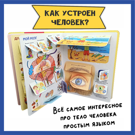 Детские книги с окошками БимБиМон Набор энциклопедий про тело человека и водный мир