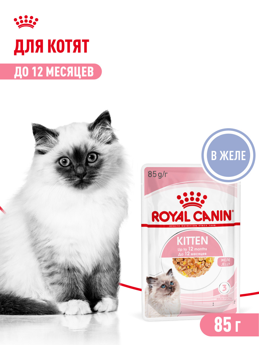 Корм влажный для котят ROYAL CANIN Kitten Instictive 85г желе пауч 77850 - фото 1
