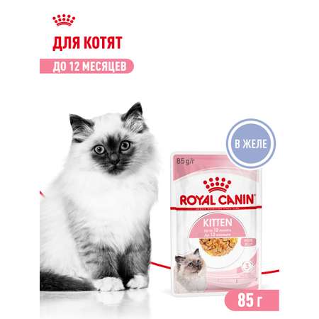 Корм влажный для котят ROYAL CANIN Kitten Instictive 85г желе пауч 77850
