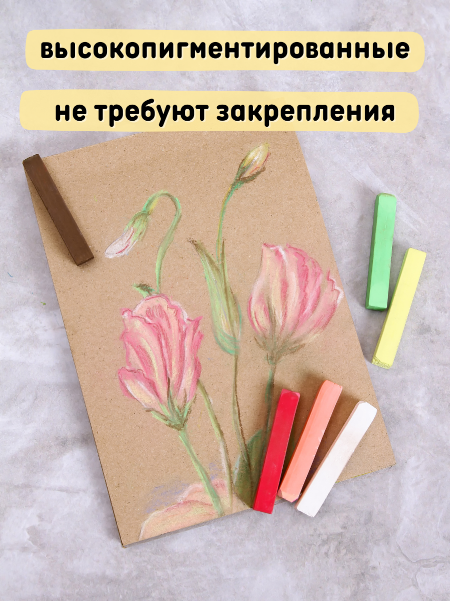 Пастель сухая CMGS 24 шт. - фото 4