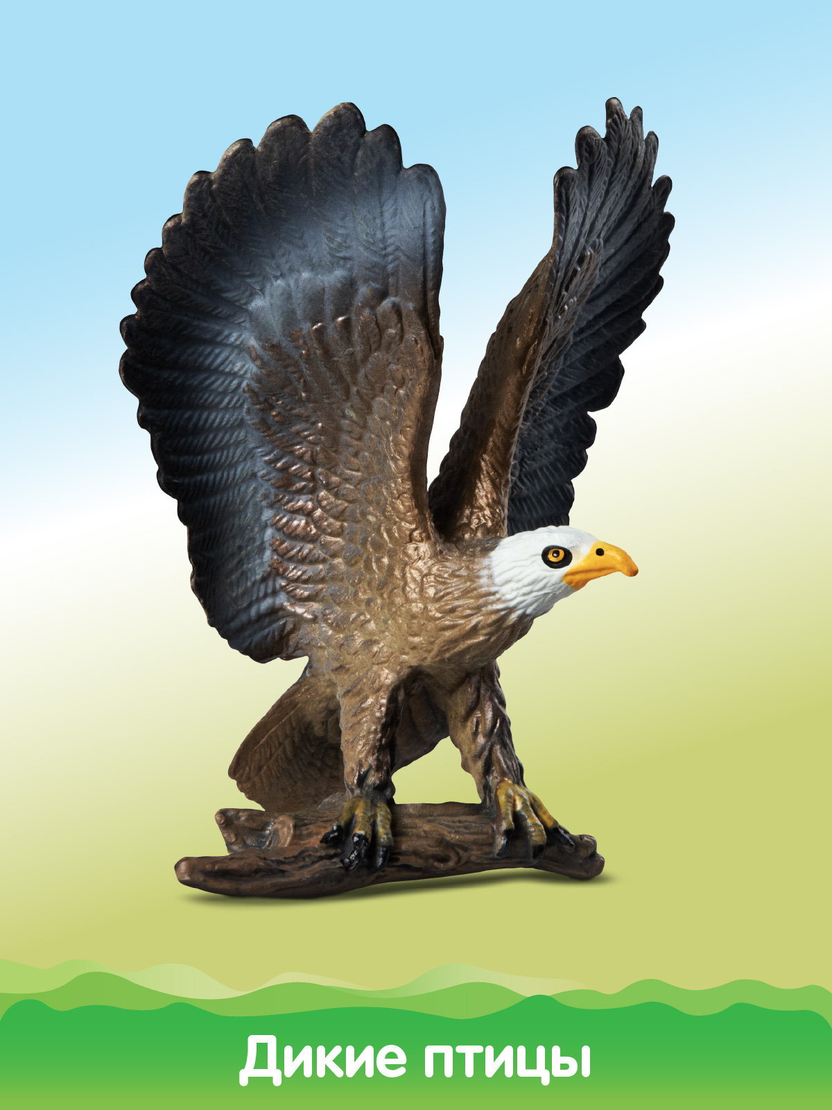 Игровой набор DARWIN Животные Птицы - фото 6