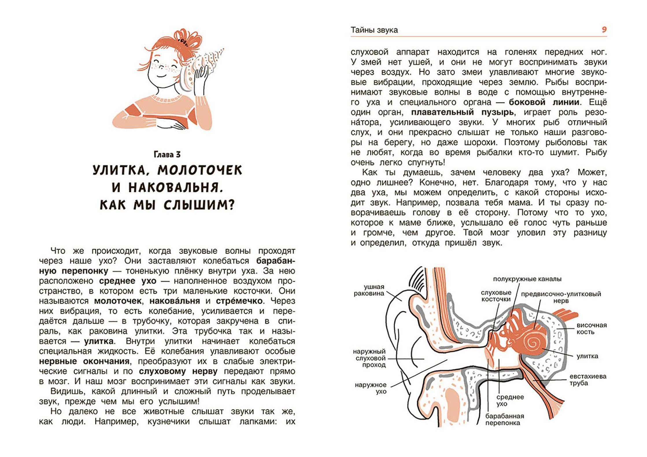 Книга Качели Свет и звук. Физика для детей - фото 4