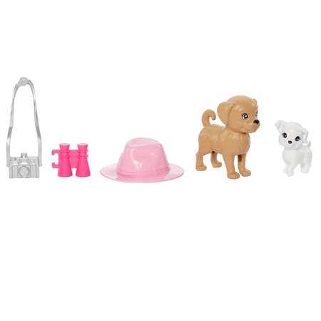Кукла модельная Barbie Барби и Стейси с 2 собаками