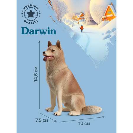 Фигурка DARWIN Собака Хаски