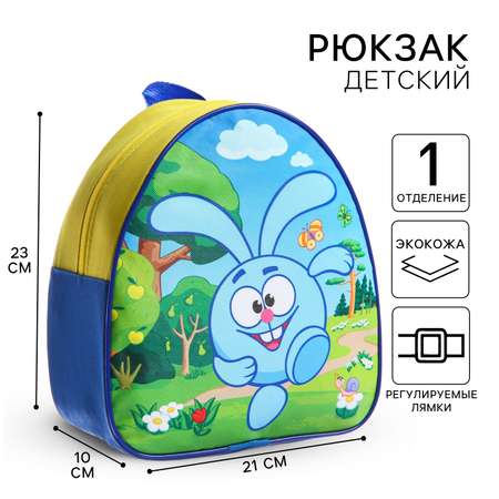 Рюкзак Смешарики