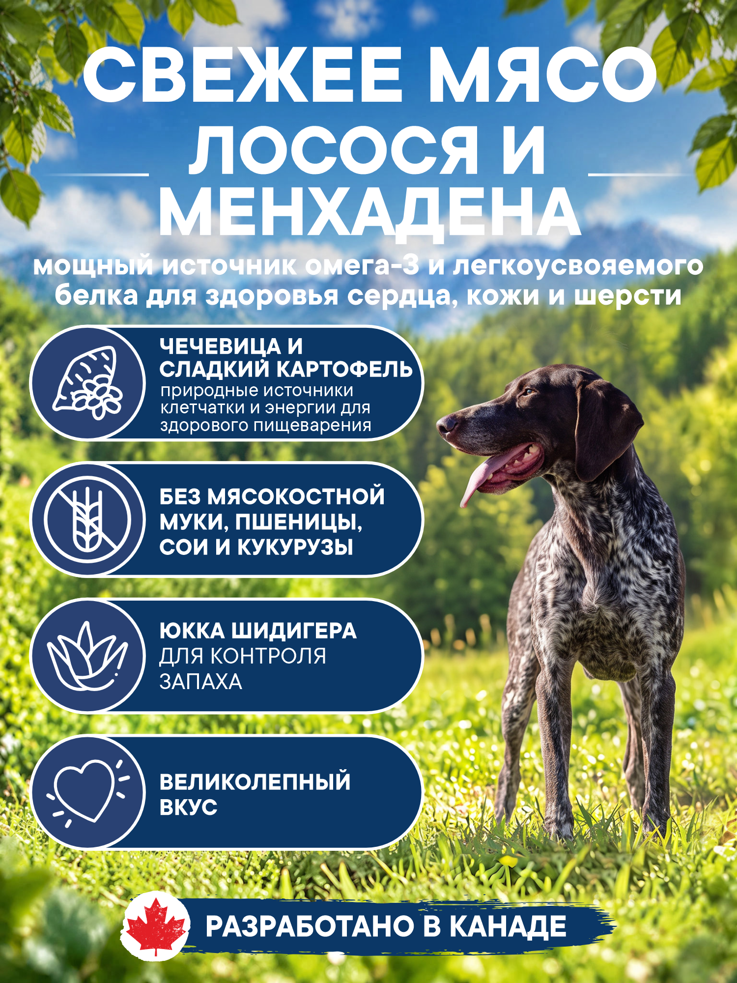 Корм для собак сухой Pronature Holistic Mediterranean Grain Free беззерновой с лососем 2.5кг - фото 2