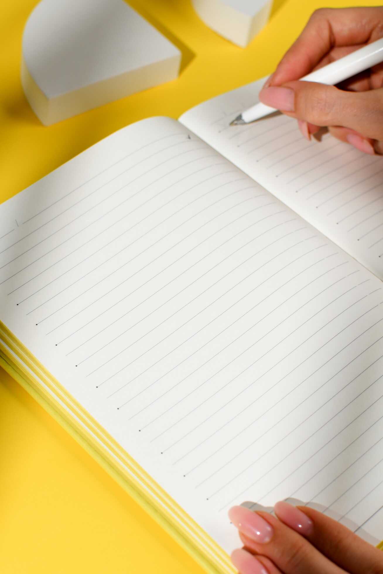 Ежедневник Феникс + ESCALADA 160 лист. - фото 10